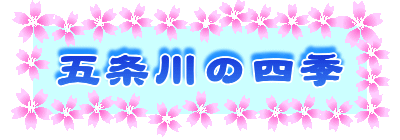 ܏̎lG