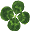 CEsv
