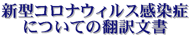 V^RiEBX
ɂĂ̖|󕶏